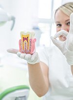 Dentist in white scrubs and gloves holding model cutaway tooth and making “OK” sign with fingers